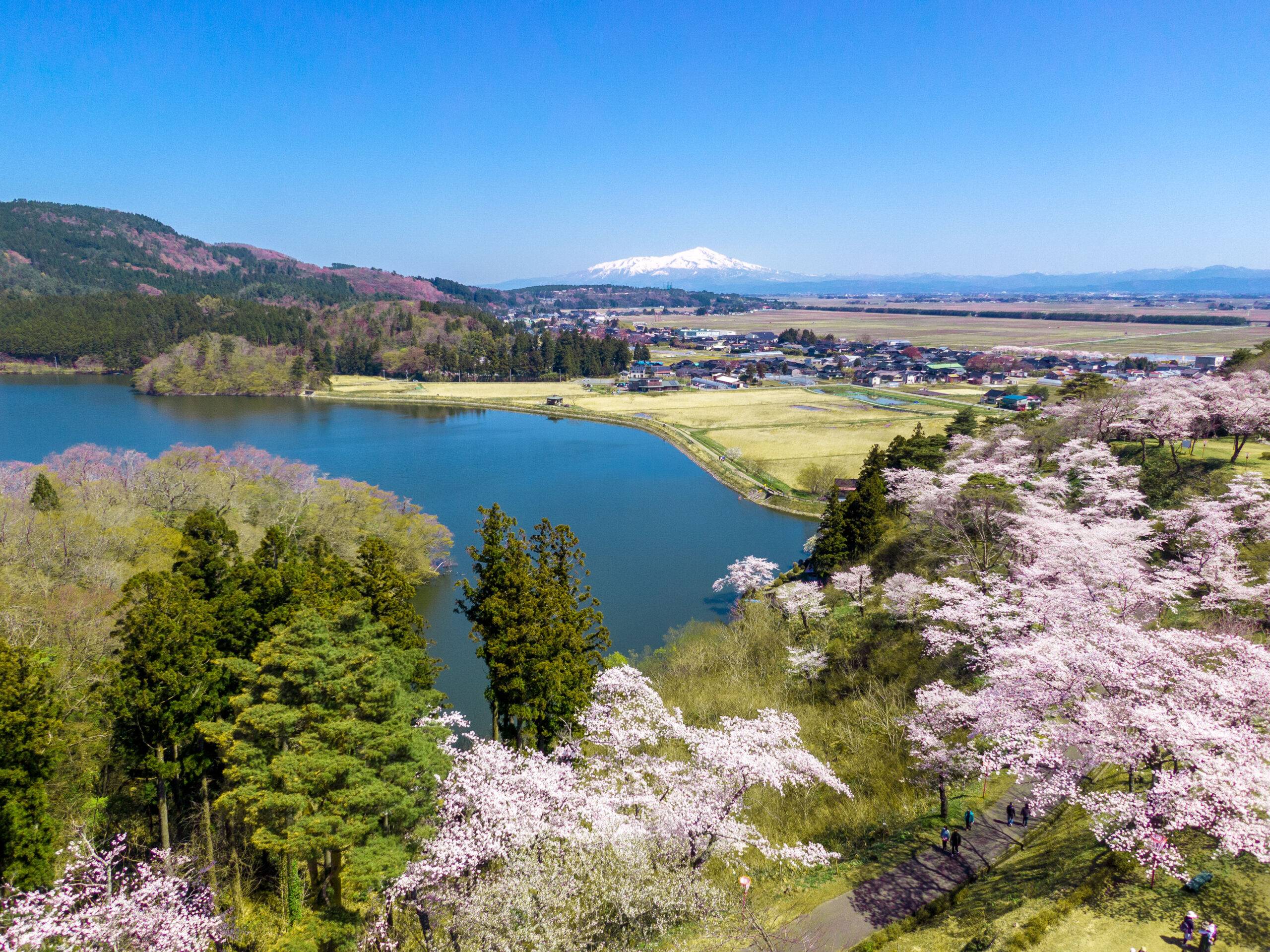 🌳 오야마 종합공원 이미지 4